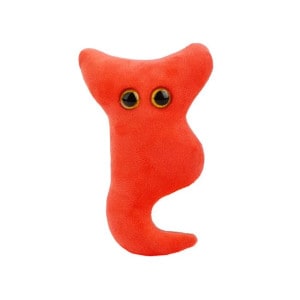 Appendix Plush